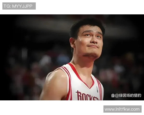 海王学姚明：探索篮球巨星背后的成功秘诀与人生哲学