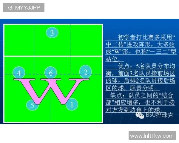 深圳排球队的战术解析与控制能力深度剖析